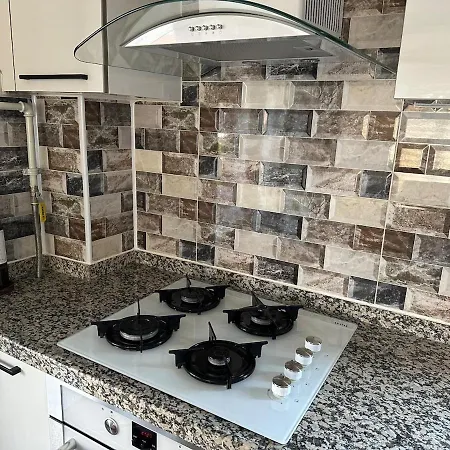 Villa Lilyum Garden House&organization