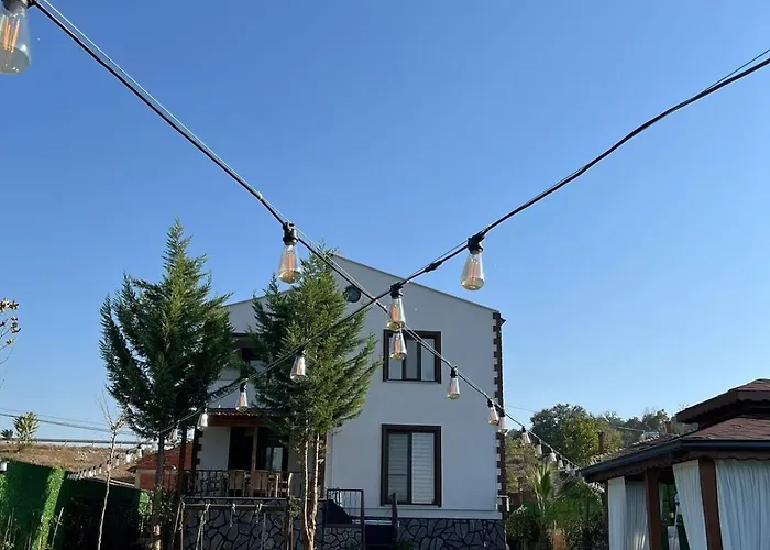 Villa Lilyum Garden House&organization